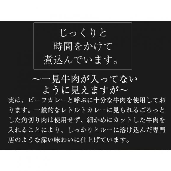 食研カレー 日本食研 1kg×12袋 欧風ビーフカレー ケース販売 業務用 大容量 レトルト 徳用05