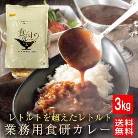 食研カレー 3kg  業務用 レトルト 日本食研 欧風カレー ビーフカレー 約15人前