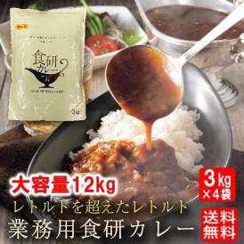 食研カレー 日本食研 3kg×4袋 欧風ビーフカレー 大容量 業務用 レトルト ケース販売