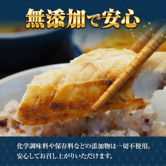 サバ さば 鯖 骨取りサバ 5kg (30枚) ケース販売 無塩 無添加 鯖半身フィーレ 良品 骨なし 個別冷凍 骨取り鯖 送料無料 買い置き04