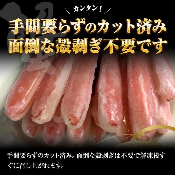生ずわいがに ぐるむき 1kg (500g×2P) 40本入 太脚 大サイズ かに カニ 蟹 生食可能 蟹刺し BBQ 敬老 敬老の日 ギフト進物05