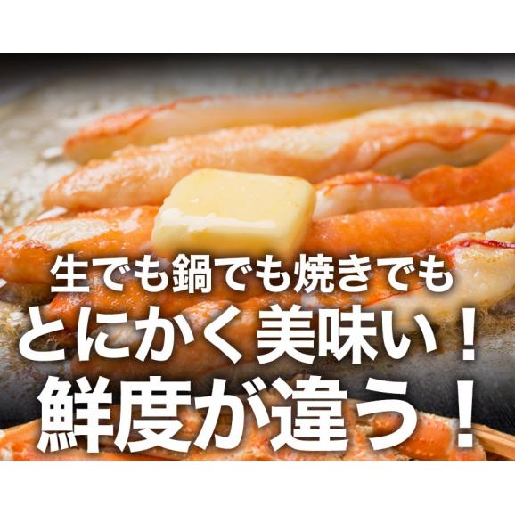 ズワイガニ ポーション 1kg 500g×2P 40本入 カニしゃぶ用 生食 OK かに カニ 蟹 ぐるむき BBQ 敬老 敬老の日 ギフト進物05