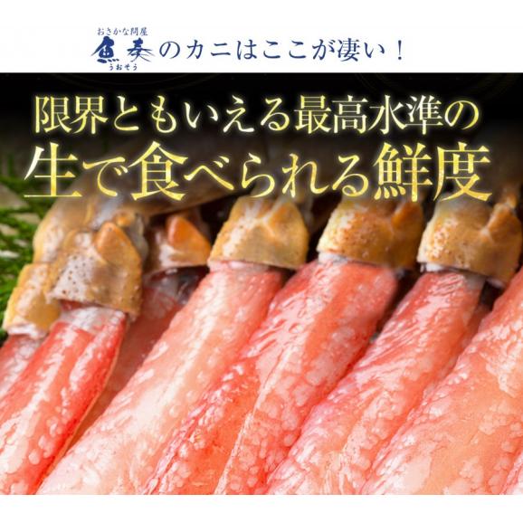 ズワイガニ ポーション 1kg 500g×2P 40本入 カニしゃぶ用 生食 OK かに カニ 蟹 ぐるむき BBQ 敬老 敬老の日 ギフト進物06