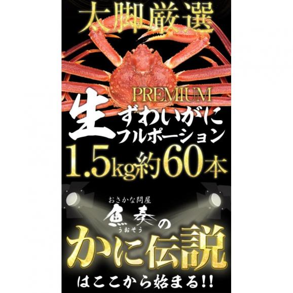 ズワイガニ しゃぶしゃぶ用 1.5kg（500g×3P) 60本入 ポーション カニ かに 蟹 ずわい お歳暮 BBQ 敬老 敬老の日 ギフト進物03