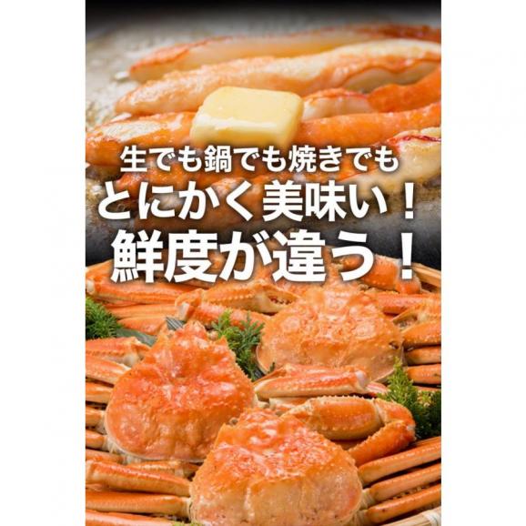 ズワイガニ しゃぶしゃぶ用 2kg（500g×4P) 80本入 ポーション カニ かに 蟹 ずわい お歳暮 BBQ 敬老 敬老の日 ギフト進物04