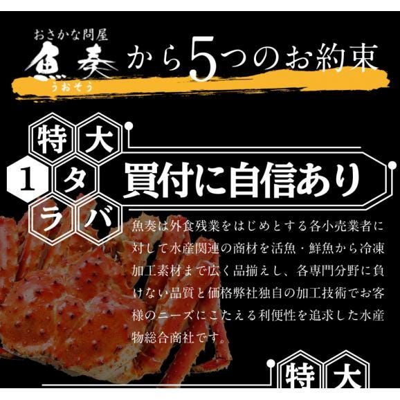 ボイル タラバガニ 特大1kg 2～3人前 5Lサイズ かに カニ 蟹 たらば03