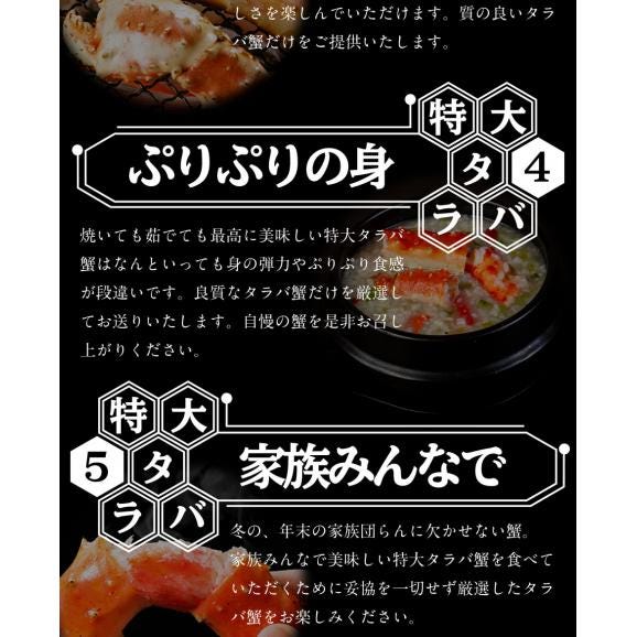ボイル タラバガニ 特大3kg 5Lサイズ 脚 3肩 かに カニ 蟹 たらば ポイント利用 お試し商品 サンプル06