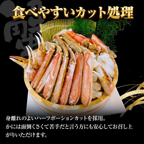生ずわいがに ハーフポーション 総重量約3.4kg（正味2.9kg） ズワイ 蟹 かに カニ 化粧箱 送料無料 ポイント利用 お試し商品 サンプル04
