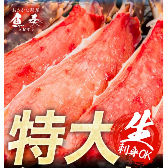 特大 生 タラバガニ 2kg 5Lサイズ 脚 2肩 たらば タラバ 蟹 かに カニ ポイント利用 お試し商品 サンプル03