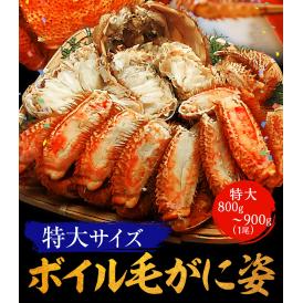 超特大ボイルたらばがに 7L 約1500g 極太 セクション 1肩 特大