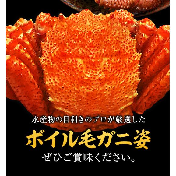 ボイル 毛ガニ 姿 特大 800g～900g かに カニ 蟹 毛がに 毛蟹 ボイル 訳あり お歳暮 BBQ05