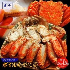ボイル 毛ガニ 姿 特大 2尾 1.6kg～1.8kg 毛蟹 訳あり 歳暮 中元 ギフト かに カニ 蟹 ポイント利用 お試し商品 サンプル