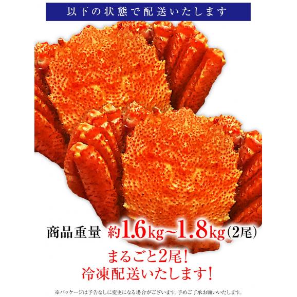 ボイル 毛ガニ 姿 特大 2尾 1.6kg～1.8kg 毛蟹 訳あり 歳暮 中元 ギフト かに カニ 蟹 ポイント利用 お試し商品 サンプル03