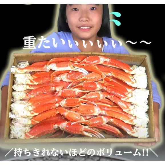 ボイル ズワイガニ 特大 脚 5kg お歳暮 ギフト かに カニ 蟹 ずわい BBQ 敬老 敬老の日 ギフト進物05