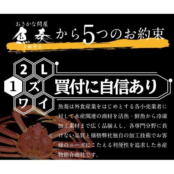 ボイル ズワイガニ 特大 脚 5kg お歳暮 ギフト かに カニ 蟹 ずわい ポイント利用 お試し商品 サンプル06