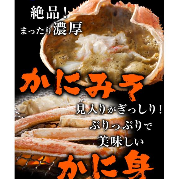 訳あり ボイル ズワイガニ 姿 特大 2尾 約1.2kg ずわいがに ギフトかに カニ 蟹 BBQ 敬老 敬老の日 ギフト進物03