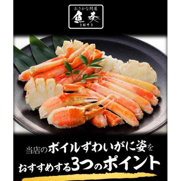 訳あり ボイル ズワイガニ 姿 特大 4尾 約2.4kg ずわいがに 差脚 良品 かに カニ 蟹 BBQ 敬老 敬老の日 ギフト進物04