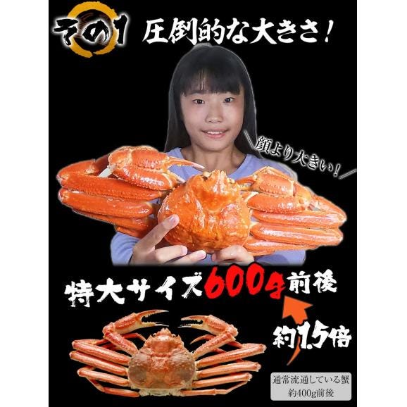 訳あり ボイル ズワイガニ 姿 特大 4尾 約2.4kg ずわいがに 差脚 良品 かに カニ 蟹 BBQ 敬老 敬老の日 ギフト進物06