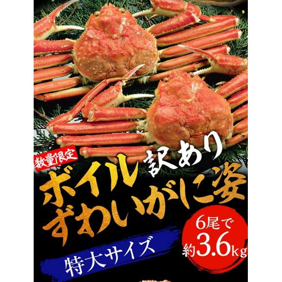 訳あり ボイル ズワイガニ 姿 特大 6尾 約3.6kg ズワイガニ ギフト お歳暮 かに カニ 蟹 BBQ 敬老 敬老の日 ギフト進物02