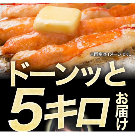 ボイル ズワイガニ 脚 5kg 訳あり しゃぶしゃぶ用 ずわい ボイル メガ盛り かに カニ 蟹 BBQ 敬老 敬老の日 ギフト進物03