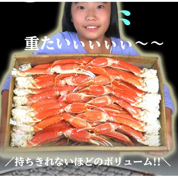 ボイル ズワイガニ 脚 5kg 訳あり しゃぶしゃぶ用 ずわい ボイル メガ盛り かに カニ 蟹 BBQ 敬老 敬老の日 ギフト進物04