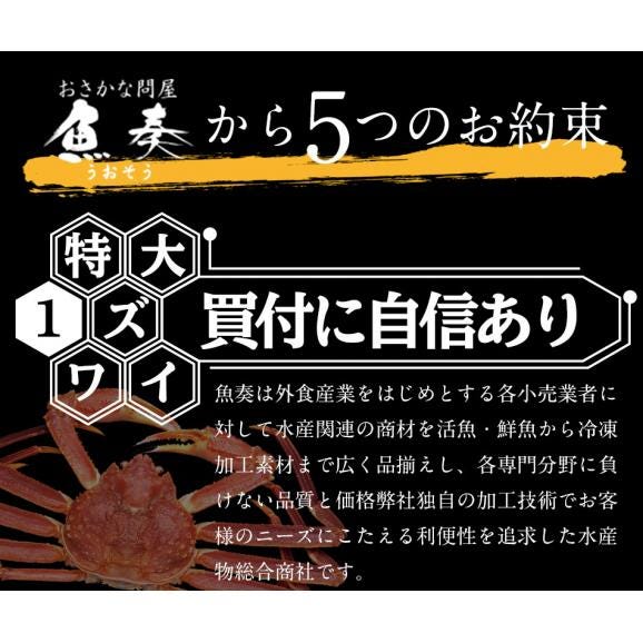 ボイル ズワイガニ 脚 5kg 訳あり しゃぶしゃぶ用 ずわい ボイル メガ盛り かに カニ 蟹 BBQ 敬老 敬老の日 ギフト進物06