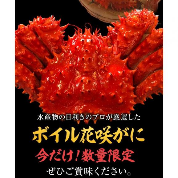ボイル 花咲ガニ 1尾500〜600g 大サイズ 希少 姿身 姿 かに カニ 蟹 はなさき ハナサキ 北海道産03
