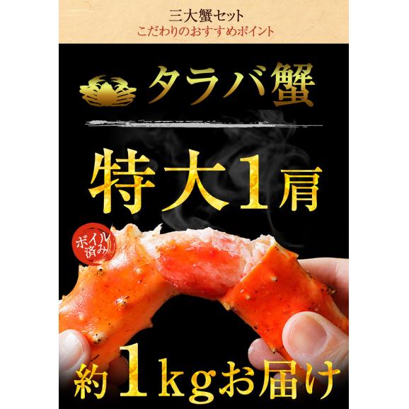 ボイル 三大蟹セット タラバガニ 肩 ズワイガニ 毛がに 総重量約2.3～2.4kg たらば ずわい 毛蟹 ポイント利用 お試し商品 サンプル05