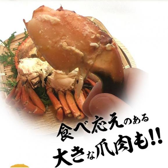 ボイル ストーンクラブ 4尾 約2.0kg 約500g×4 特大 希少 姿身 ストーンクラブ かに カニ 蟹 BBQ 敬老 敬老の日 ギフト進物05