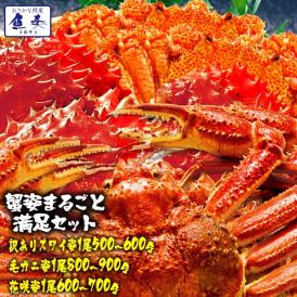 訳あり 特大 ボイル 蟹 姿まるごと満足セット ズワイガニ 花咲ガニ 毛ガニ 総重量約2.0～2.2kg ポイント利用 お試し商品 サンプル