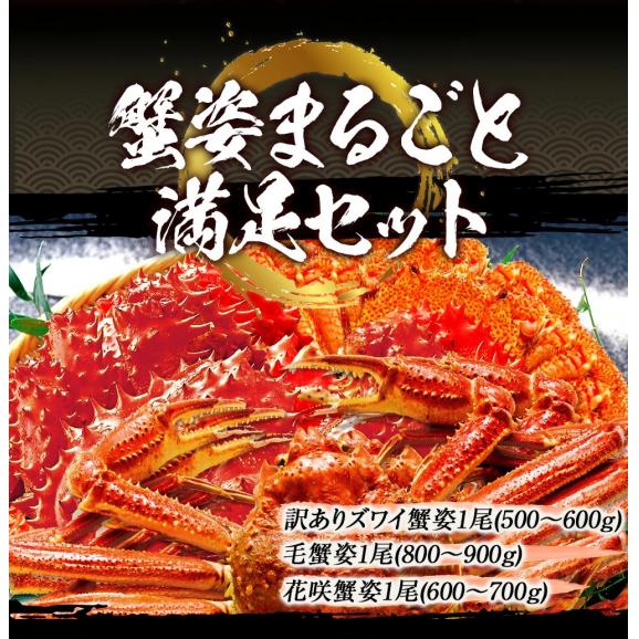 訳あり 特大 ボイル 蟹 姿まるごと満足セット ズワイガニ 花咲ガニ 毛ガニ 総重量約2.0～2.2kg ポイント利用 お試し商品 サンプル02
