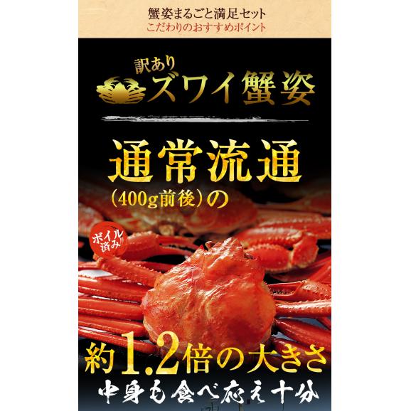 訳あり 特大 ボイル 蟹 姿まるごと満足セット ズワイガニ 花咲ガニ 毛ガニ 総重量約2.0～2.2kg ポイント利用 お試し商品 サンプル05