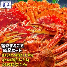 特大 ボイル 蟹 姿まるごと満足セット ズワイガニ 毛ガニ 花咲ガニ 総重量 約3.8～4.2kg ずわい ポイント利用 お試し商品 サンプル