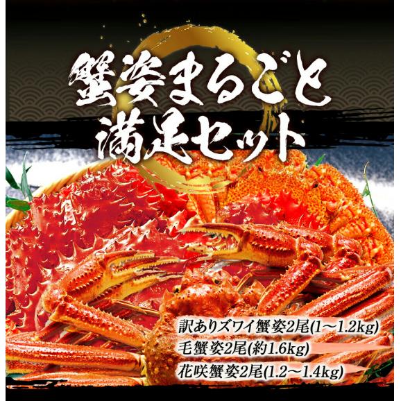 特大 ボイル 蟹 姿まるごと満足セット ズワイガニ 毛ガニ 花咲ガニ 総重量 約3.8～4.2kg ずわい ポイント利用 お試し商品 サンプル02