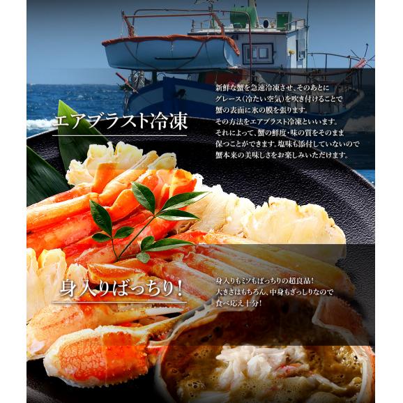 特大 ボイル 蟹 姿まるごと満足セット ズワイガニ 毛ガニ 花咲ガニ 総重量 約3.8～4.2kg ずわい ポイント利用 お試し商品 サンプル06