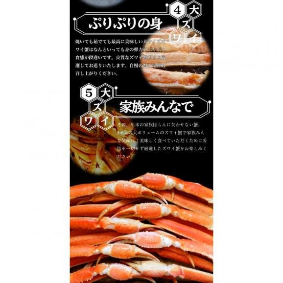 ボイル ズワイガニ 3kg 1.5kg×2ケース 3L 大サイズ セクション ずわいがに カニすき 焼ガニ  BBQ 敬老 敬老の日 ギフト進物06