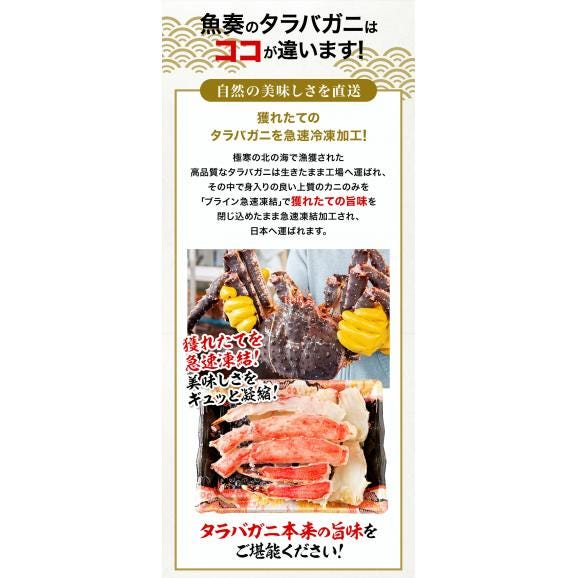 カット 生 タラバガニ 総重量1.6kg かに カニ 蟹 しゃぶしゃぶ かに鍋 天ぷら ハーフポーション ポイント利用 お試し商品 サンプル05