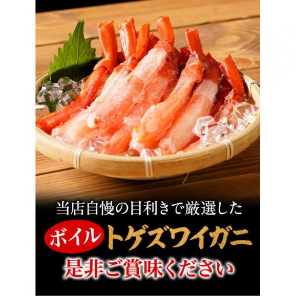 ボイル トゲズワイガニ ポーション 13本入 総重量約220g かに カニ 蟹 かにずわい しゃぶ かに鍋 天ぷら04