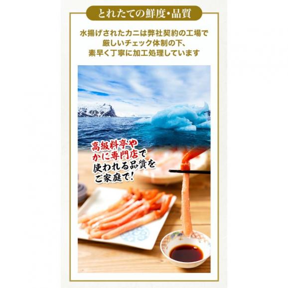 ボイル トゲズワイガニ ポーション 13本入 総重量約220g かに カニ 蟹 かにずわい しゃぶ かに鍋 天ぷら06