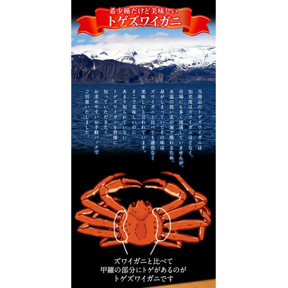 ボイル トゲズワイガニ ポーション 26本入 総重量約440g かに カニ 蟹 ずわい かにしゃぶ かに鍋 ポイント利用 お試し商品 サンプル03