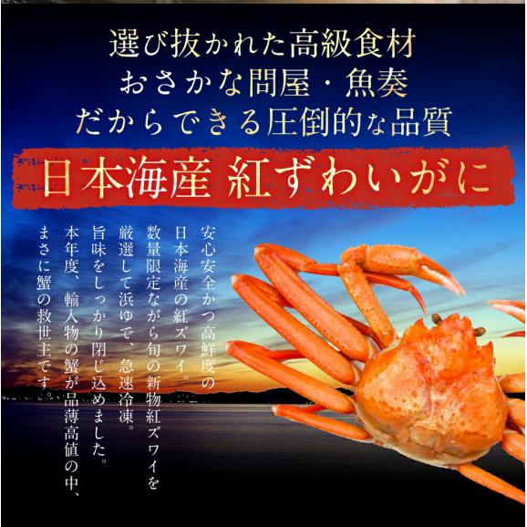 ボイル 紅ズワイガニ 脚 約3kg かに カニ ガニ ずわい 蟹 かにしゃぶ かに鍋 天ぷら 業務用 ポイント利用 お試し商品 サンプル03