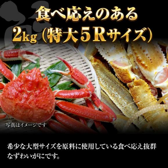 冷凍 ずわいかにセクション 5R 2kg 7肩 バルダイ 特大サイズ かに カニ 蟹 ニッスイ 青箱 ズワイガニ ずわい蟹 ずわいがに 鮮凍かに 送料無料03