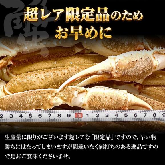 冷凍 ずわいかにセクション 5R 2kg 7肩 バルダイ 特大サイズ かに カニ 蟹 ニッスイ 青箱 ズワイガニ ずわい蟹 ずわいがに 鮮凍かに 送料無料06
