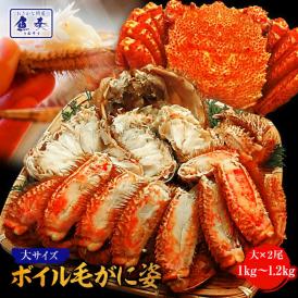 ボイル 毛ガニ 姿 大 2尾 1kg～1.2g 毛蟹 訳あり 歳暮 中元 ギフト 進物 かに カニ 蟹 鍋 ポイント利用 お試し商品 サンプル