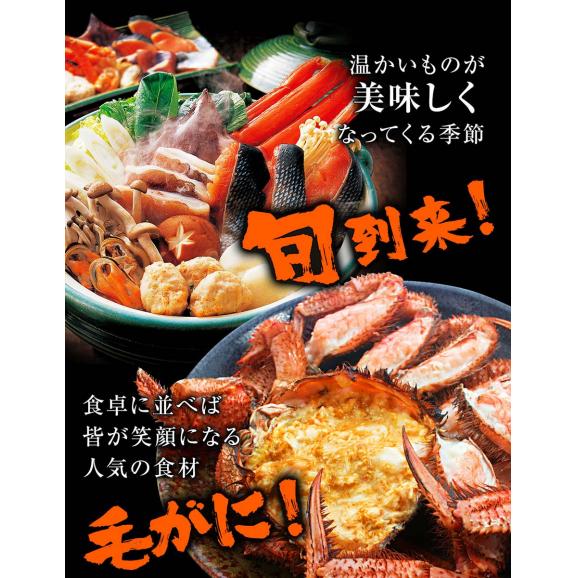 ボイル 毛ガニ 姿 大 2尾 1kg～1.2g 毛蟹 訳あり 歳暮 中元 ギフト 進物 かに カニ 蟹 鍋 ポイント利用 お試し商品 サンプル04
