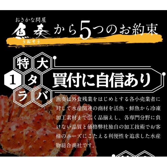 特大 生 タラバガニ 脚 3肩 5Lサイズ 3kg かに カニ 蟹 たらばかに タラバ蟹 king club ポイント利用 お試し商品 サンプル04