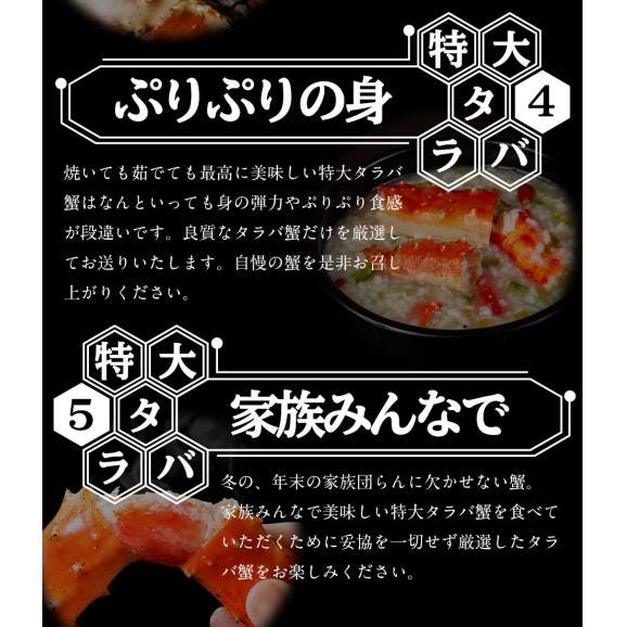 特大 生 タラバガニ 脚 3肩 5Lサイズ 3kg かに カニ 蟹 たらばかに タラバ蟹 king club ポイント利用 お試し商品 サンプル06