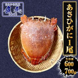 あさひがに 1尾 約600～700g 生冷凍 旭蟹 朝日蟹 アサヒガニ かに カニ 蟹 送料無料