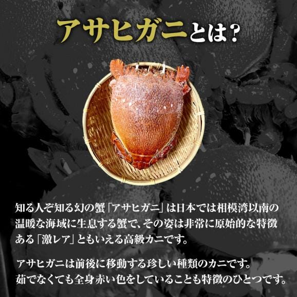 あさひがに 1尾 約600～700g 生冷凍 旭蟹 朝日蟹 アサヒガニ かに カニ 蟹 送料無料02
