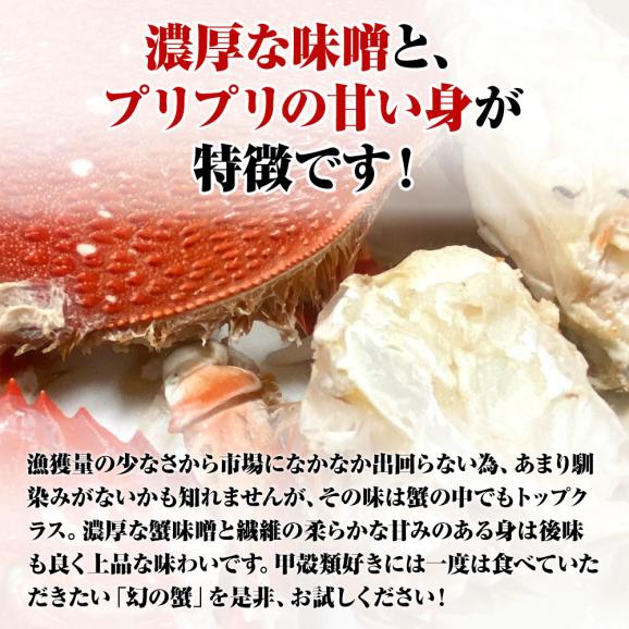 あさひがに 1尾 約600～700g 生冷凍 旭蟹 朝日蟹 アサヒガニ かに カニ 蟹 送料無料03